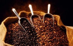 Do you know the blood system of boutique coffee?