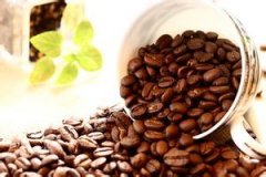 Basic recognition of coffee beans