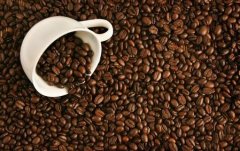The role of white coffee