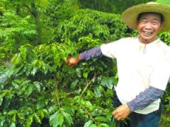 Guangdong produces coffee. Would you like to try it?