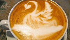 Caffe Sospeso latte Coffee pull work: Swan