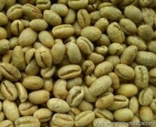 [coffee beans] Caribbean Dominica Santo Domingo coffee beans