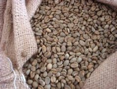 Boutique single coffee beans Indonesian Sulawesi Coffee