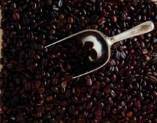Ecuadorian coffee beans from South American boutique coffee producing area