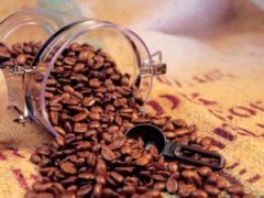 Introduction to the treatment of raw coffee beans-honey treatment