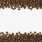 On the judgment standard of fine coffee