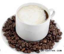 Where can I order coffee in a cafe? there are common types of fancy coffee.