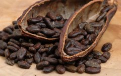 Brief introduction of the three famous Coffee products in the World