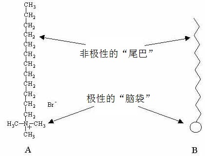 咖啡拉花中的流体力学