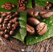 The basic chemical reactions that take place during coffee roasting