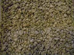 Boutique coffee beans recommend Vivetta Nango El Salvador Injerto Manor coffee beans