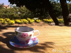 Autumn view of Xiumen coffee orchard