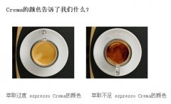 What does the color of Crema tell us?