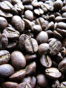 Coffee knowledge explanation on the Analysis of Acid components in Coffee