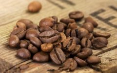 The use of coffee powder extracted from hand-brewed coffee