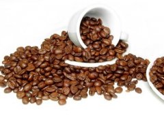 Two simple ways to treat coffee beans after picking