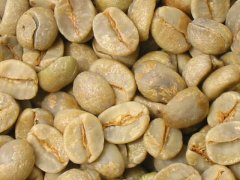 Explanation on how to classify high-quality coffee and raw beans