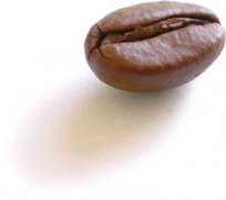 Introduction to the oil output and freshness of coffee beans in Daquan