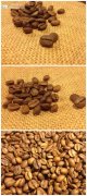 Nicaragua Coffee Bean, Origin of World Fine Coffee