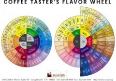 Coffee flavor wheel