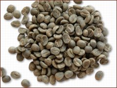 How to select raw coffee beans in Coffee Encyclopedia