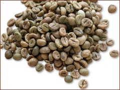 Picture of medium-grain coffee beans in Laos (Lao Robusta)