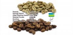 Coffee beans Rwanda coffee Karnogi boutique coffee