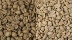 The origin and formation of the sour taste of roasted coffee