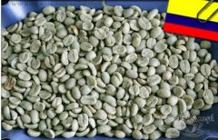 Colombian premium manor coffee raw beans