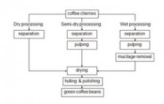 A brief introduction to the processing process of coffee beans