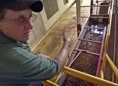 Coffee initial processing Coffee washing process