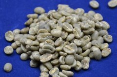 Fine coffee beans Kenya AA completely washed coffee beans