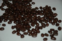 El Salvador coffee producing area Renas Manor Coffee beans