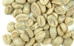 African coffee raw beans Congo Kivu 4/Kivu 4