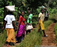 Coffee culture African coffee hometown people like to chew coffee