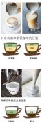Boutique Coffee Science Coffee Classification Popularization
