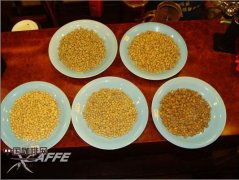 Comparison of five kinds of round beans in different countries of fine coffee beans