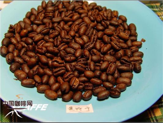 五款不同国家圆豆的对比