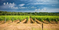 General knowledge of boutique coffee world-famous coffee estates
