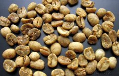 Introduction of boutique coffee beans to Indonesia aged Mantenin raw beans