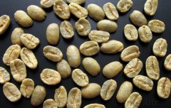 Introduction to Cuba Marago Rippe Coffee Elephant beans