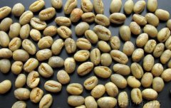 High-quality coffee beans introduce Yunnan small coffee round beans Peaberry