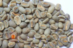 High-grade coffee bean wash Manning Gayo Mountain mandheling