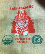 Natural certified Kintamani volcano coffee beans in Bali, Indonesia