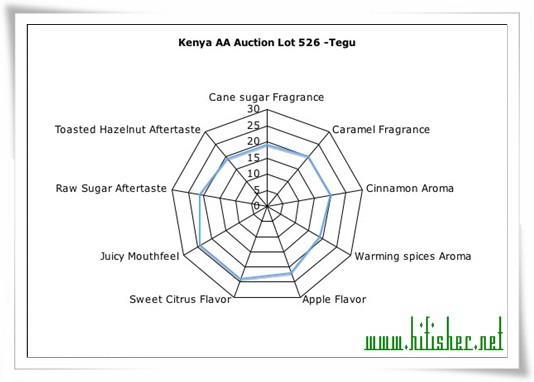 肯尼亚AA咖啡豆 Kenya AA 精品咖啡豆