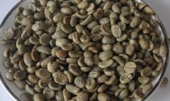 Exquisite coffee beans enjoy pictures of coffee beans from different countries