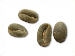 Coffee Bean Specials Coffee Bean Specials Coffee Bean Specials