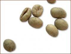 High-quality coffee beans recommend pictures of medium-grain coffee beans in Java (Java Robusta)