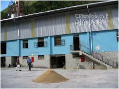 Boutique Coffee visits Lanshan Coffee processing Plant