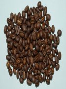 High-quality coffee beans recommend PB in Lake Guibu, Congo.